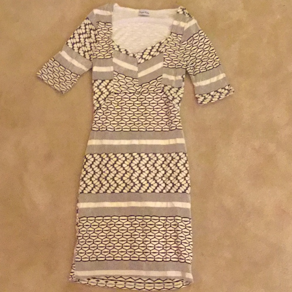 Brigitte Bailey Stretchy Mini Dress